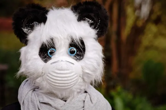 SlotsWin Kaszinó Támogatás